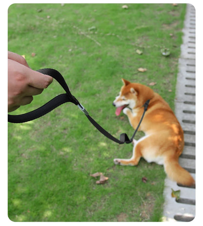 Durable Nylon Woven Pet Collar And Leash Fashion Appearance Nylon Woven Circular Chain for Walking Pet Dogs Training Equipment