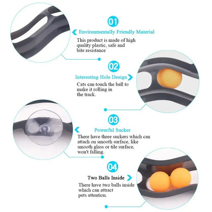 Cat Track Ball Toy