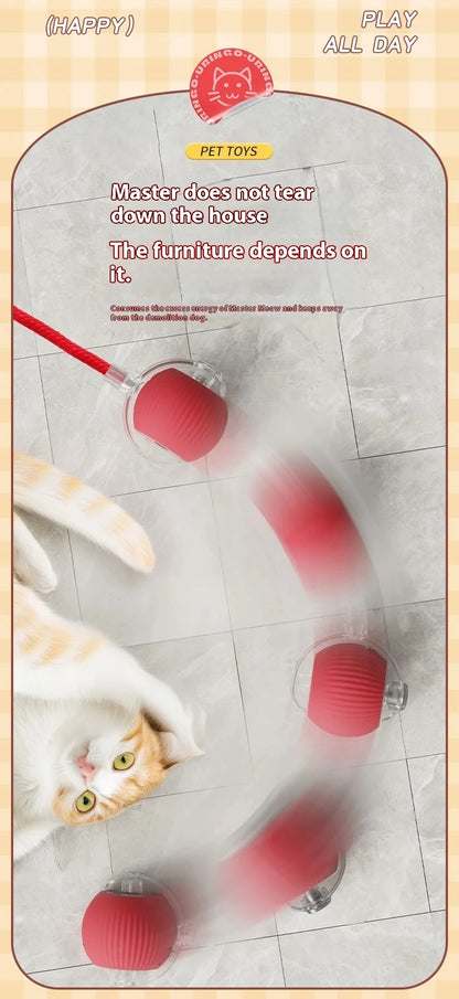 Hot Electric Automatic Rolling Dog Ball Toy