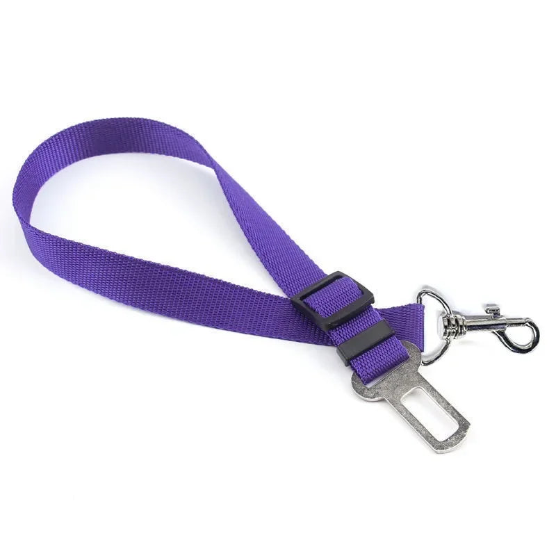 Dog Car Seat Belt