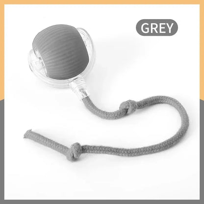 Smart Rolling Cat Ball Toy