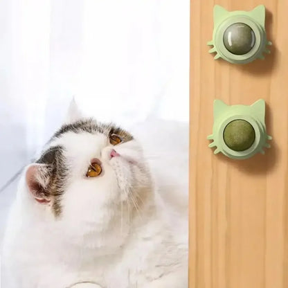 Lickable Catnip Balls