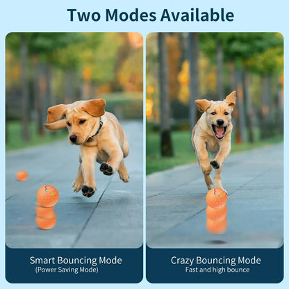 Smart Interactive Dog Toy Ball