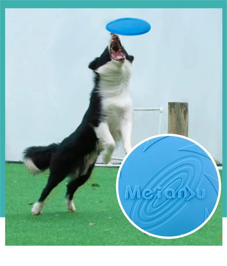 Bite-Resistant Flying Disc Toy